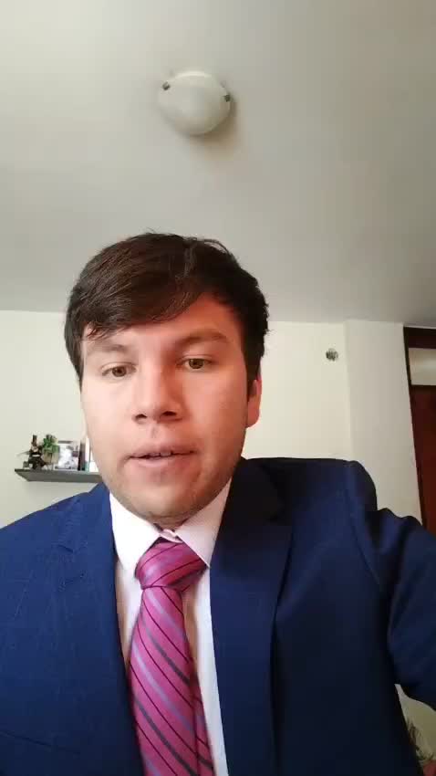Presentación profesional