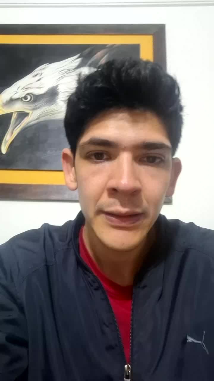 Presentación
