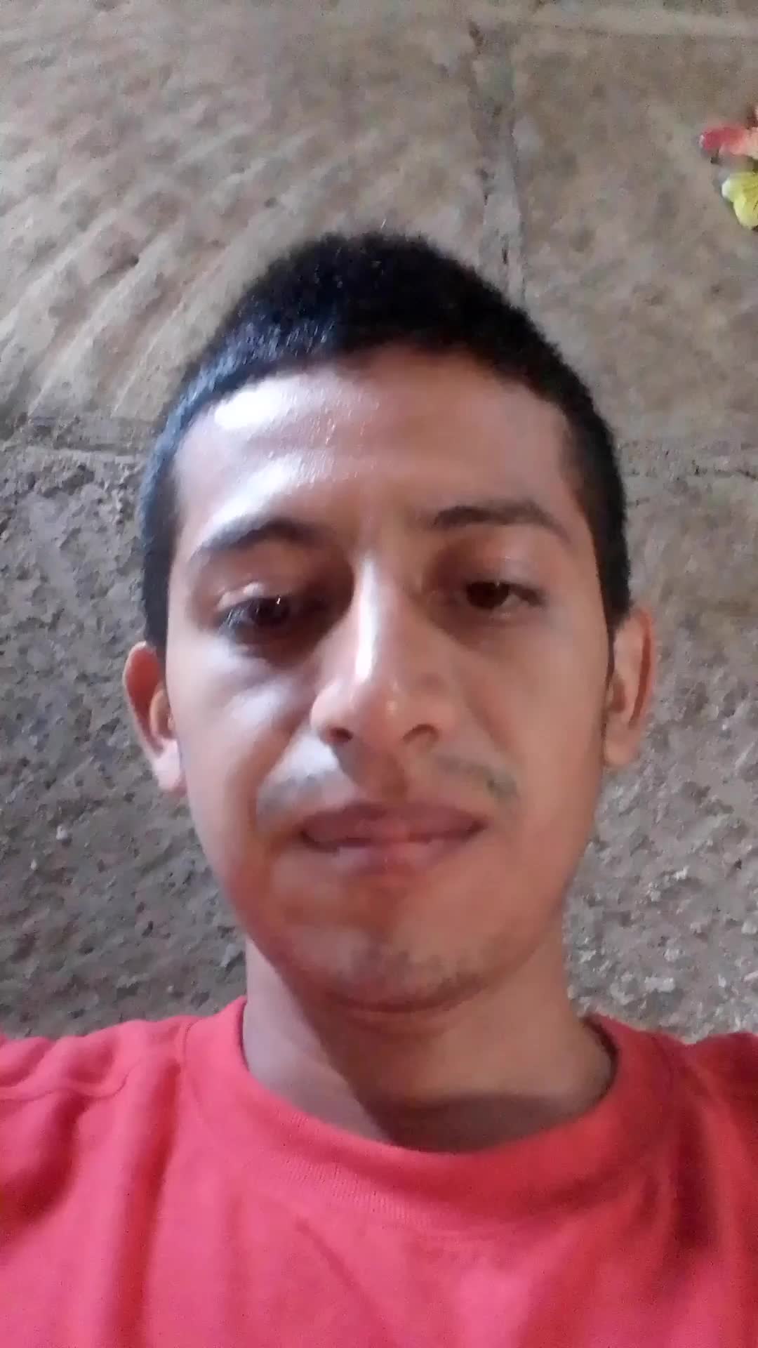 soy una persona hoanesta