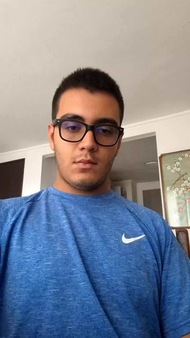 Presentation video