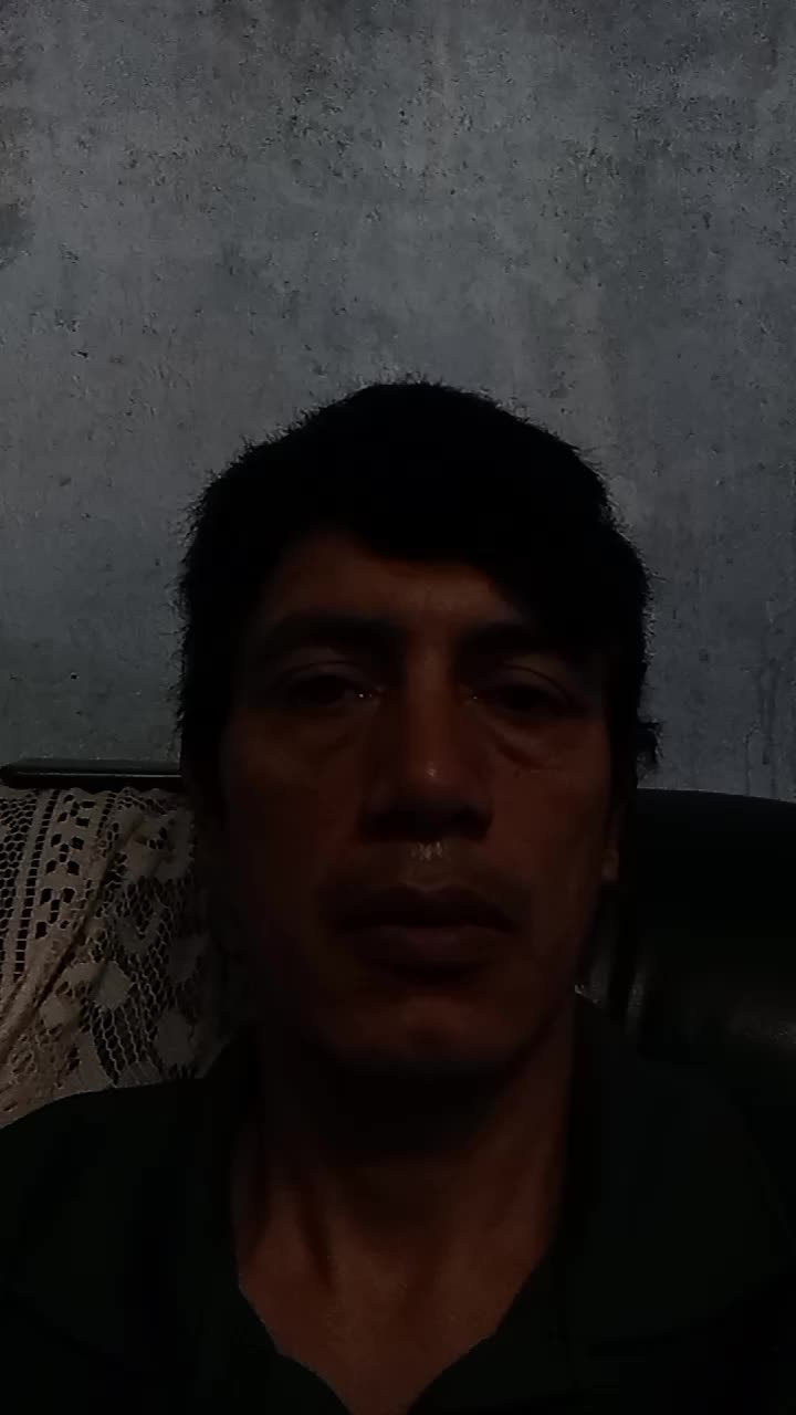 Pantógrafo y carpintero metálico
