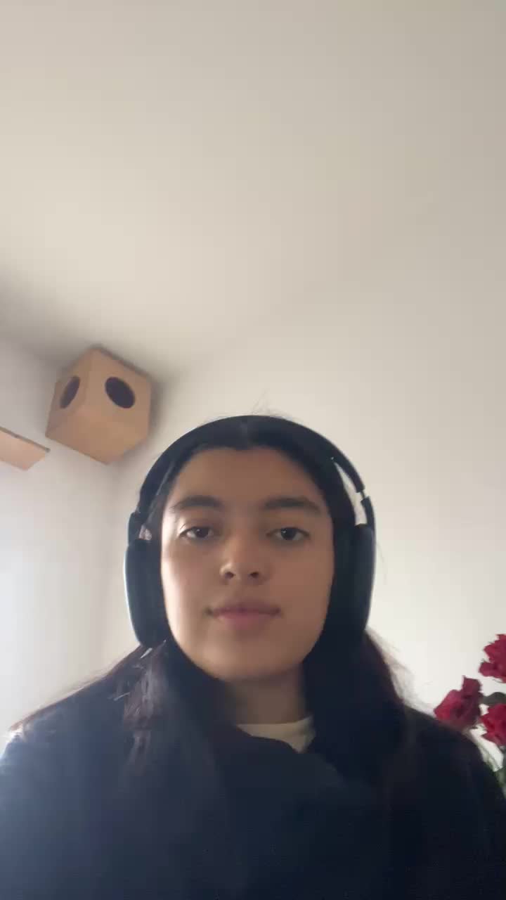 Introduction video