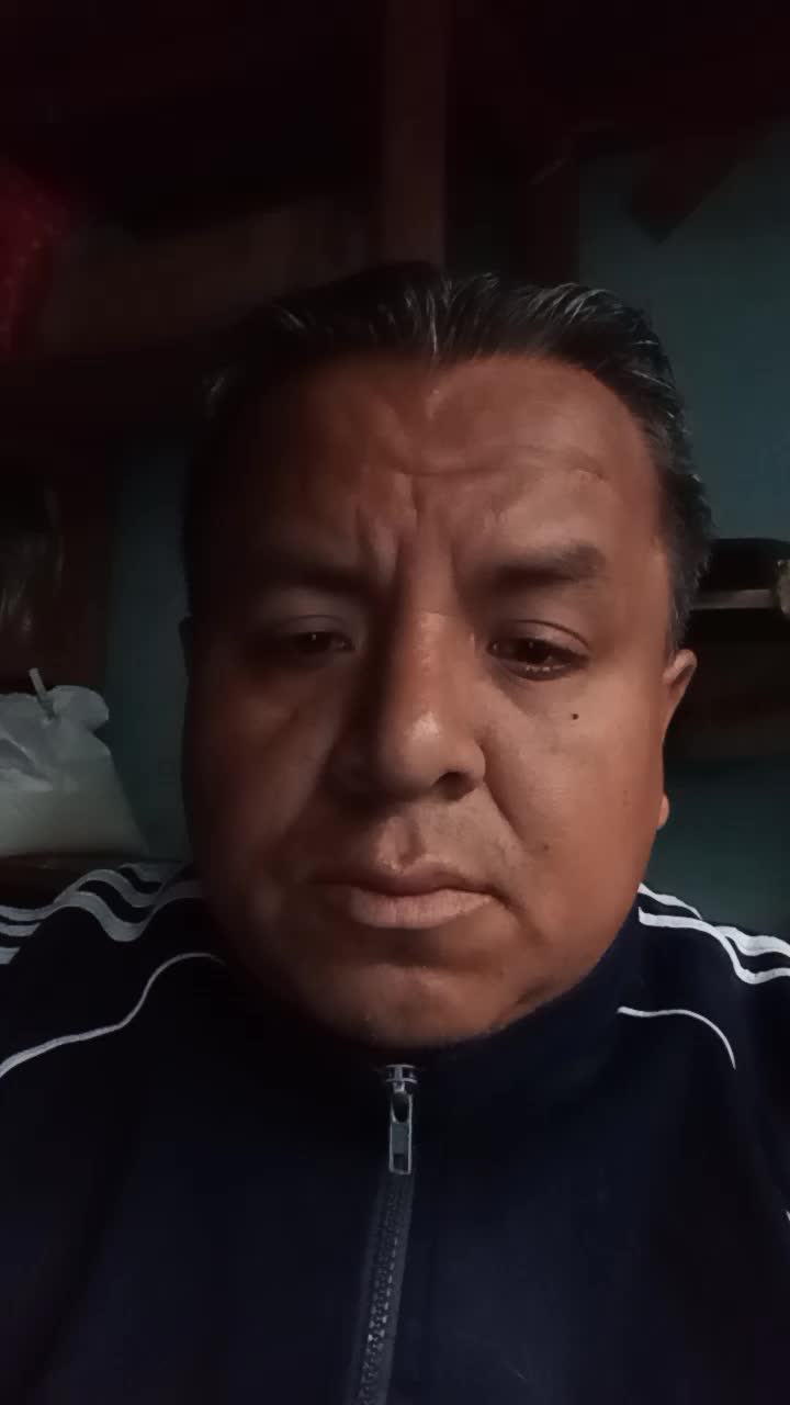 Chofer Profesional