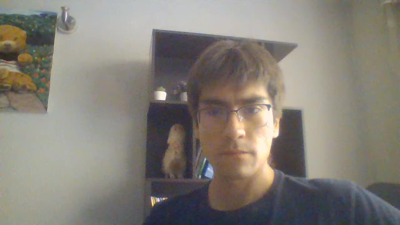 Gonzalo Cornejo Introduction