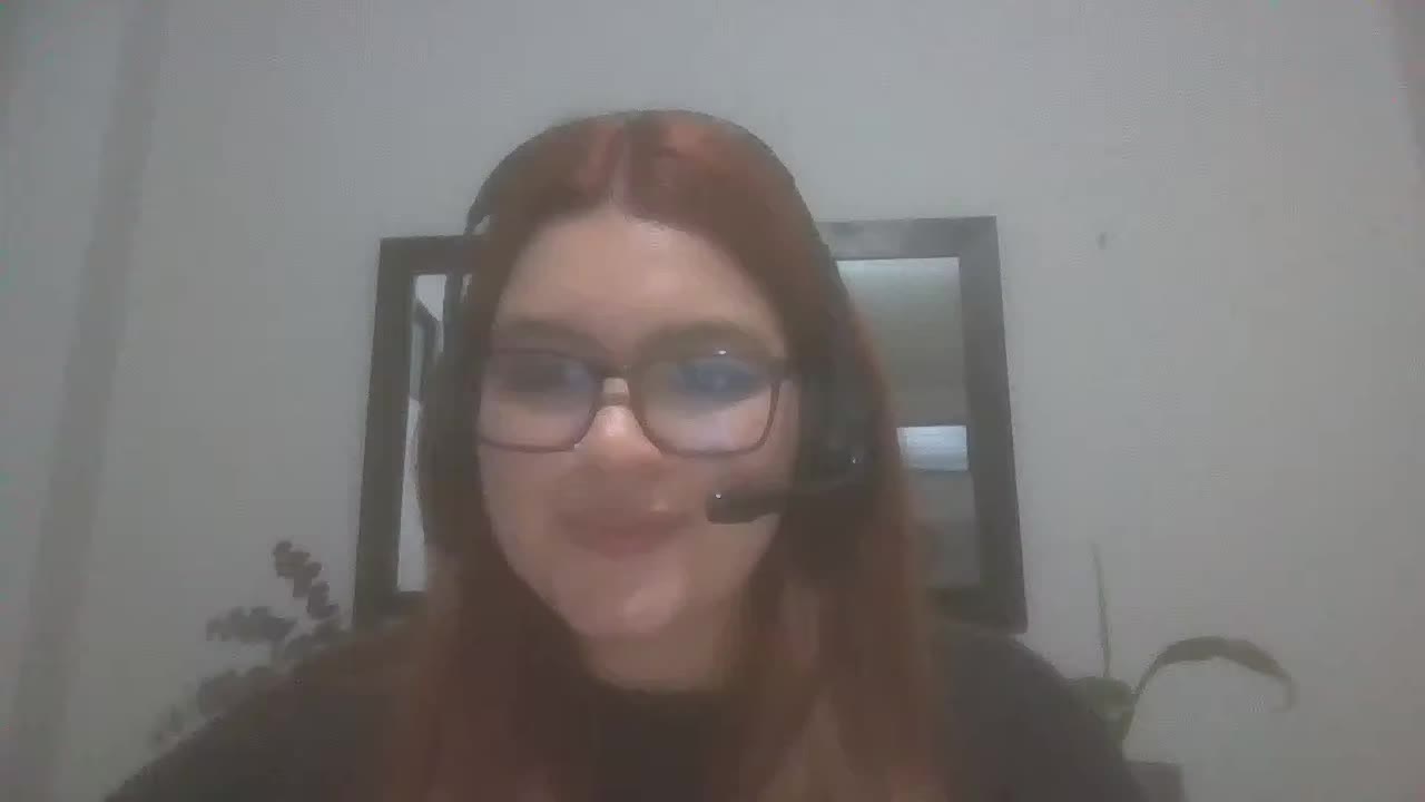 Customer Service Agent