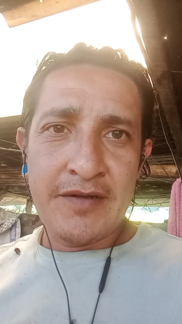 Instalador decorativo