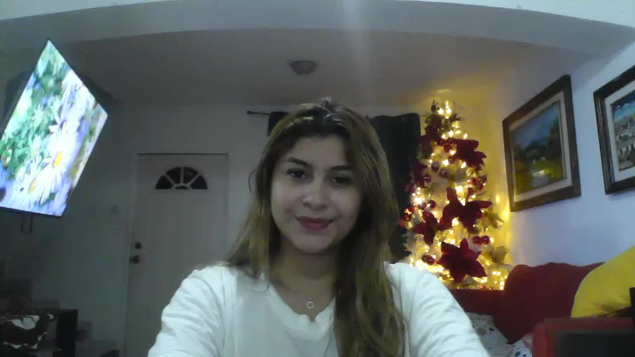 Video Resume Argentina Bulnes