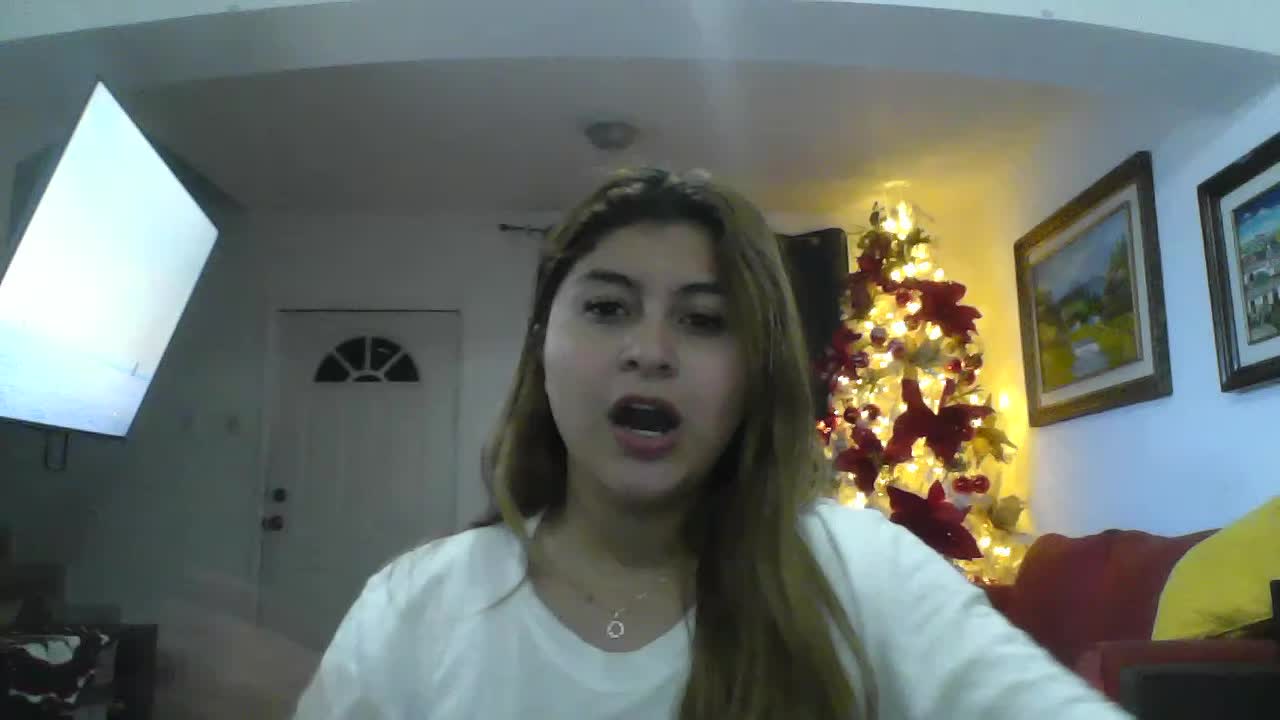 Video resume 2