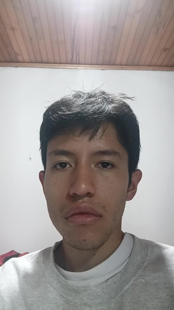 Ingeniero electrónico