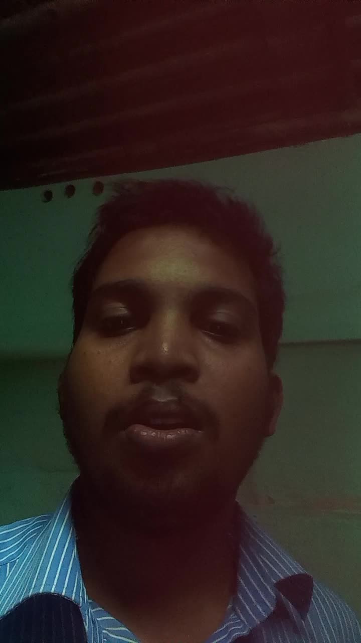 Software developer, Data Analyst