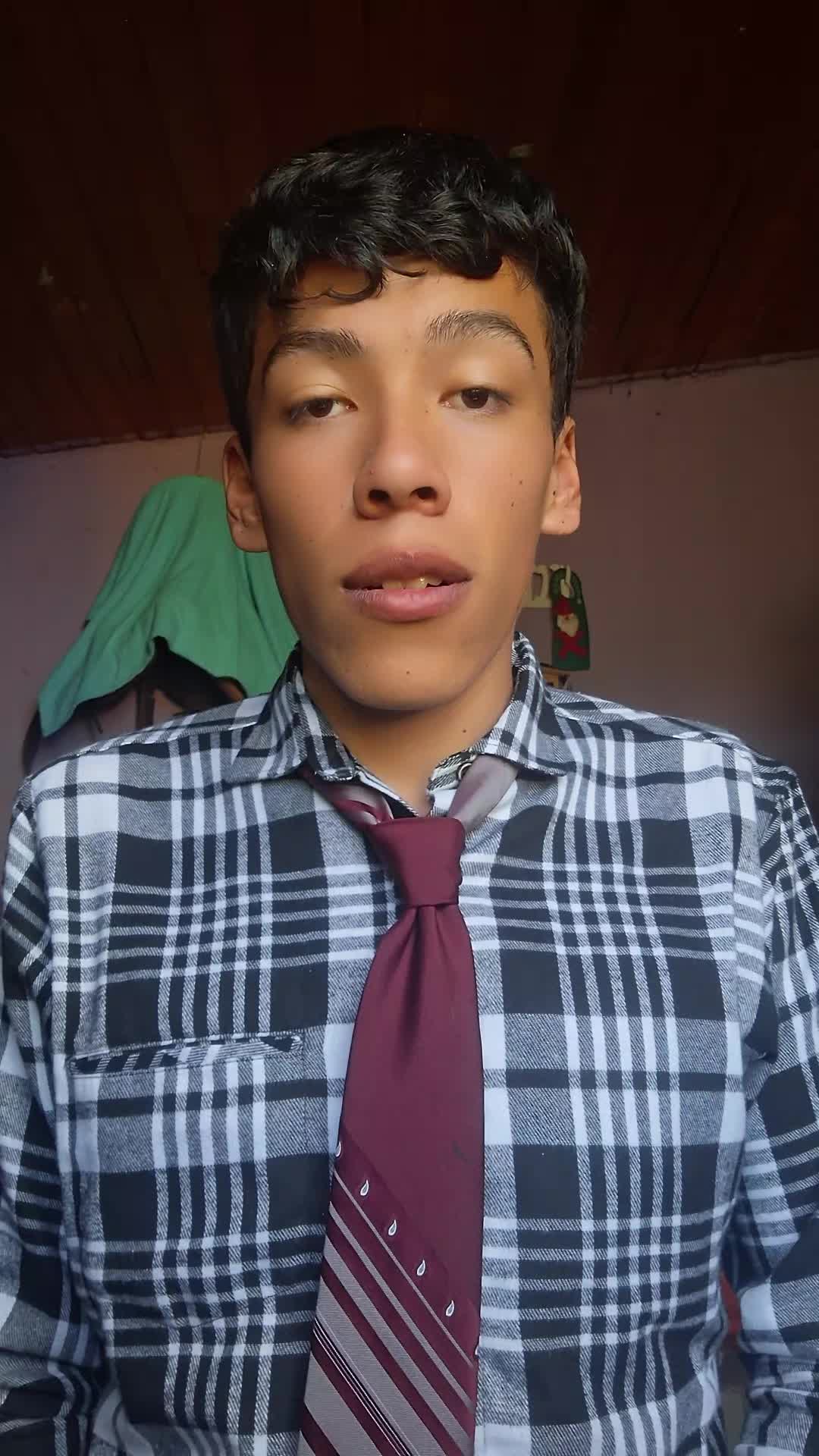 Auxiliar o Asistente