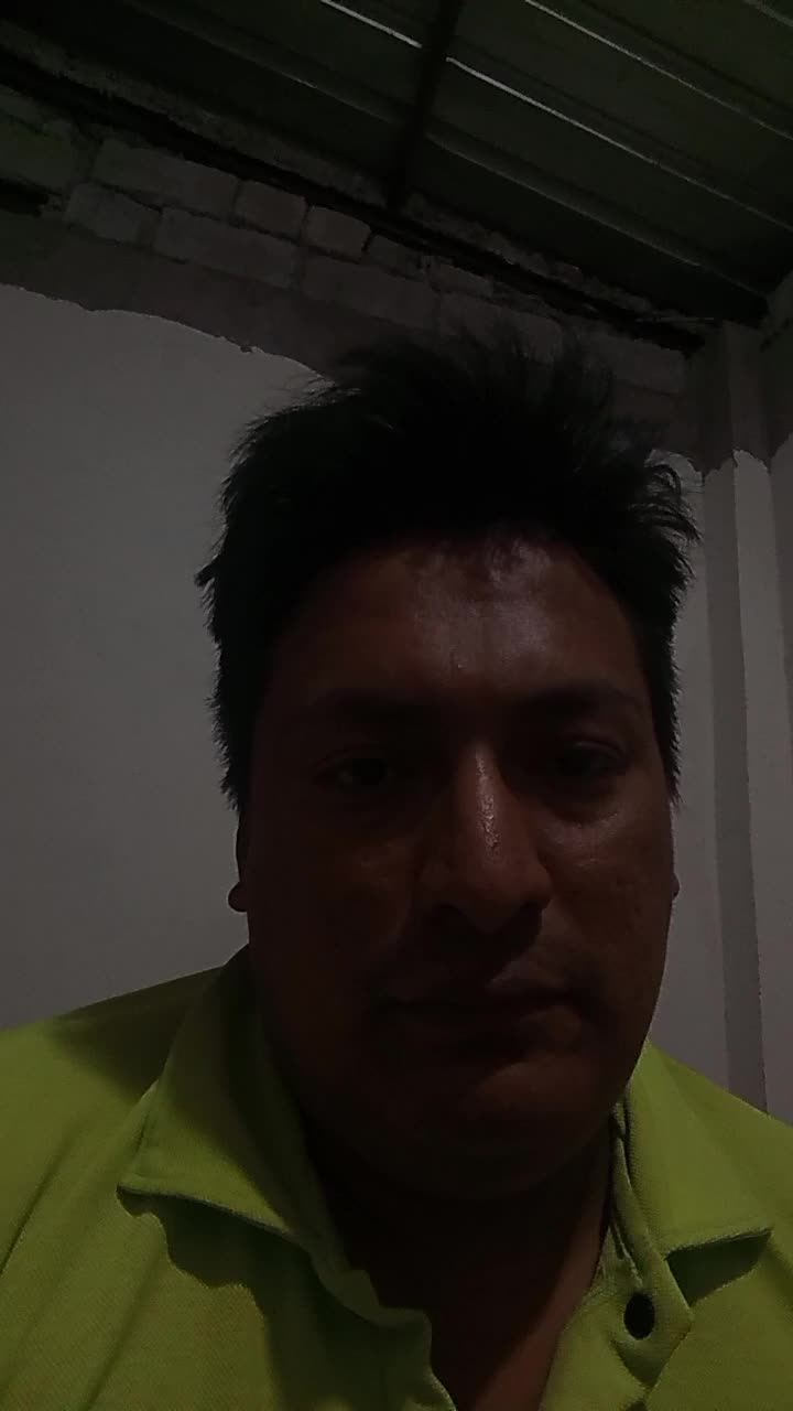 Chofer profesional tipo C