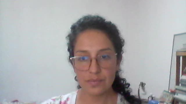 Presentación en resumen