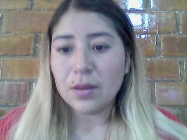 Presentacion Violeta Camones