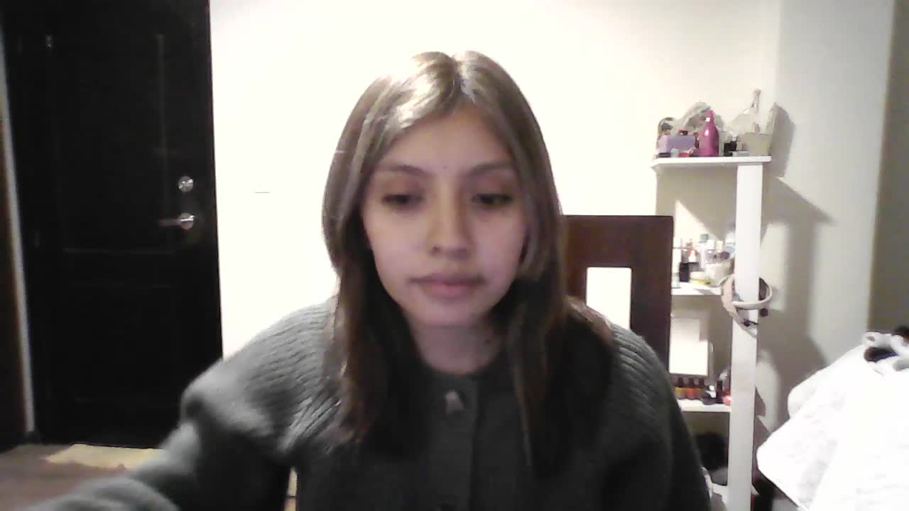 Presentation video