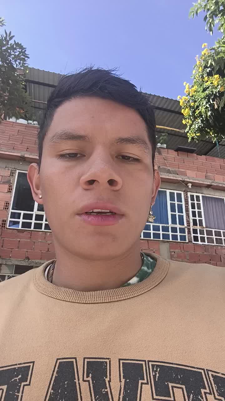 Auxiliar en logística