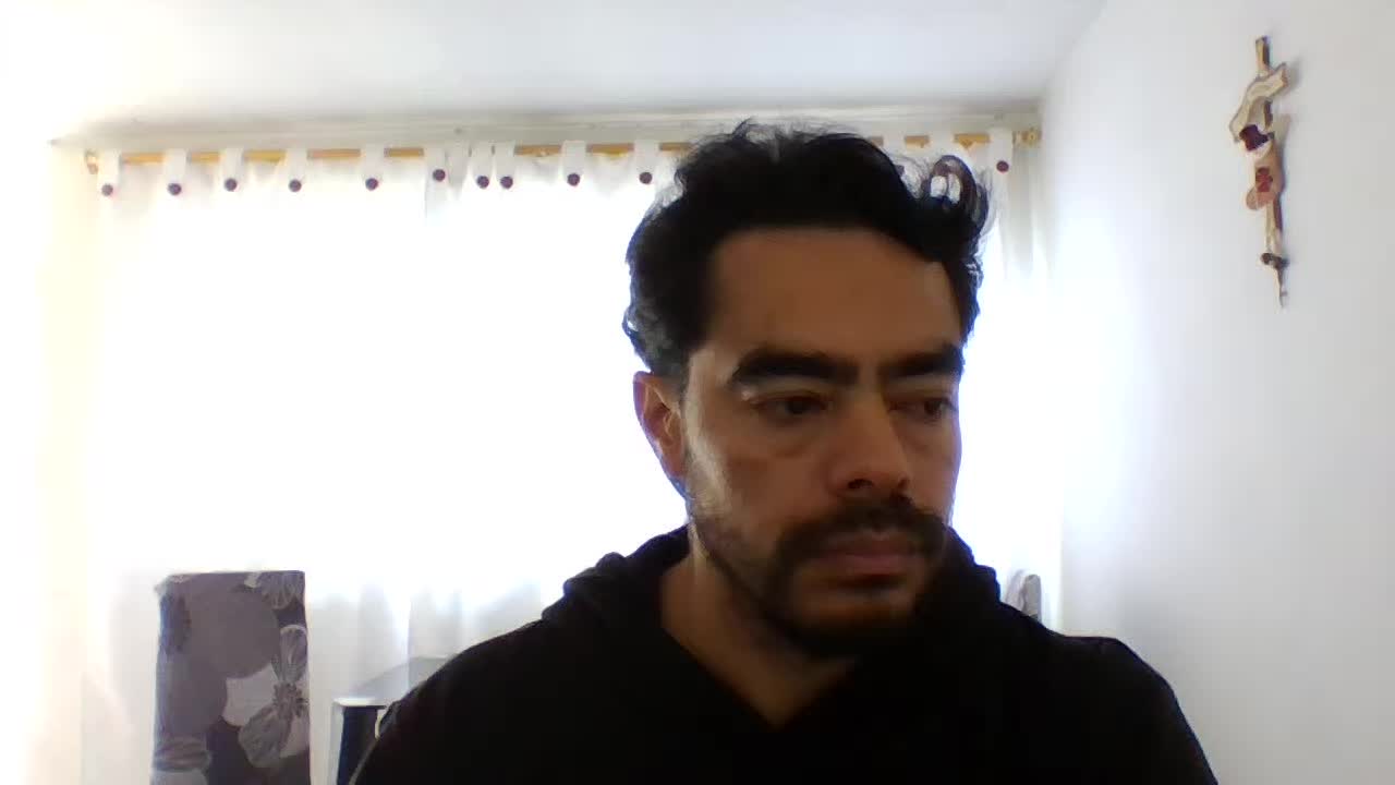 Remote Collaborator