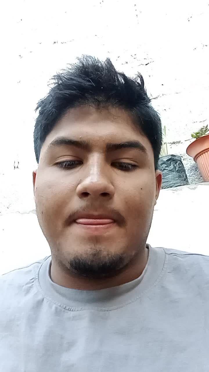 Técnico profecional en informática