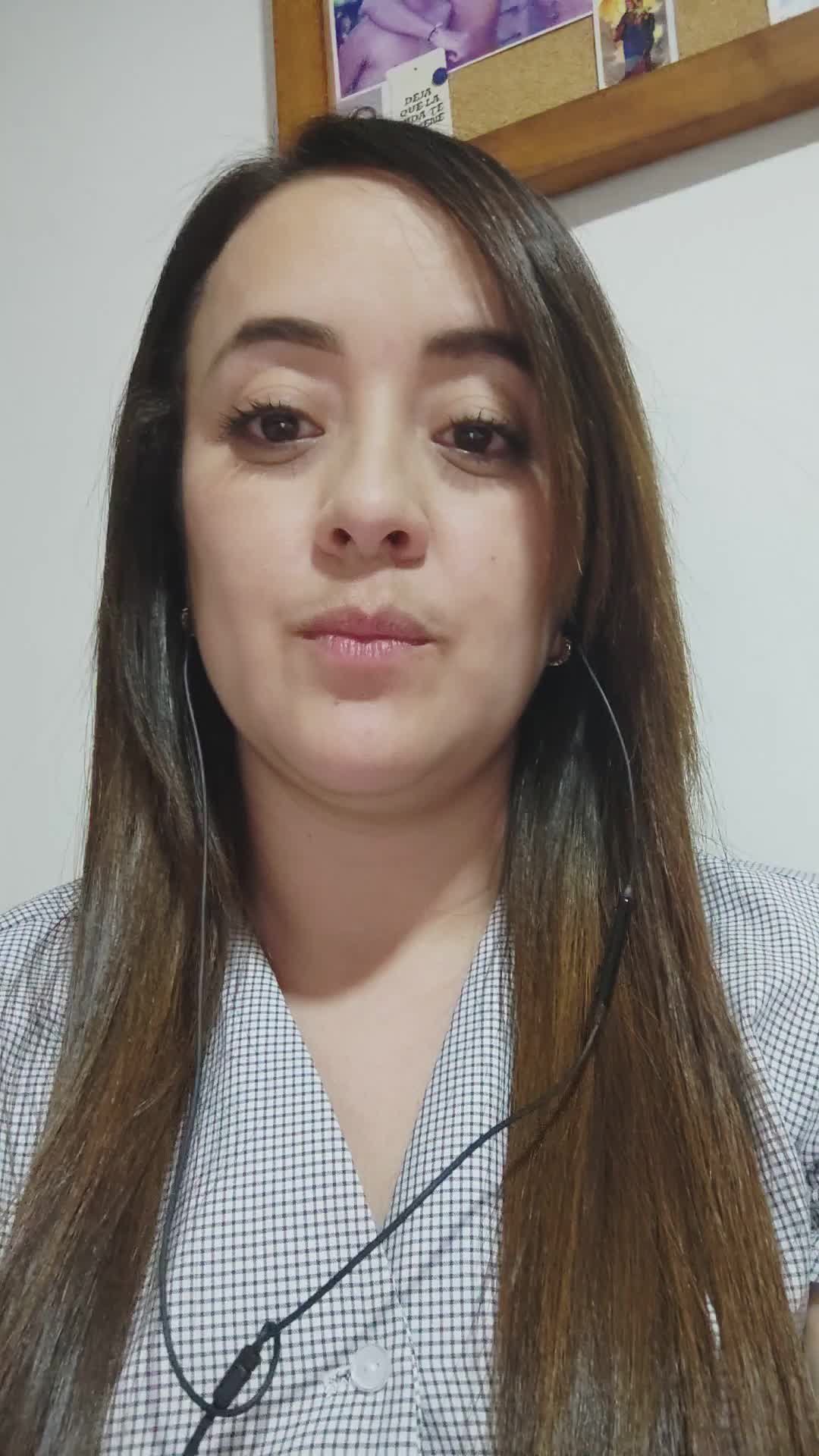 Digitador 