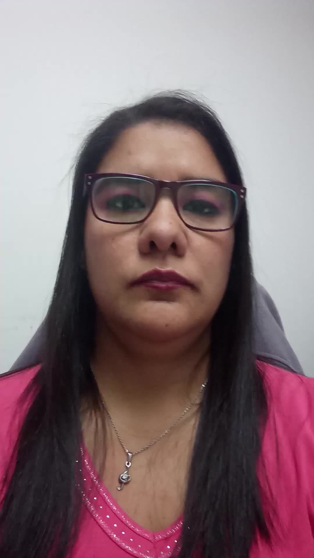 Desarrollador