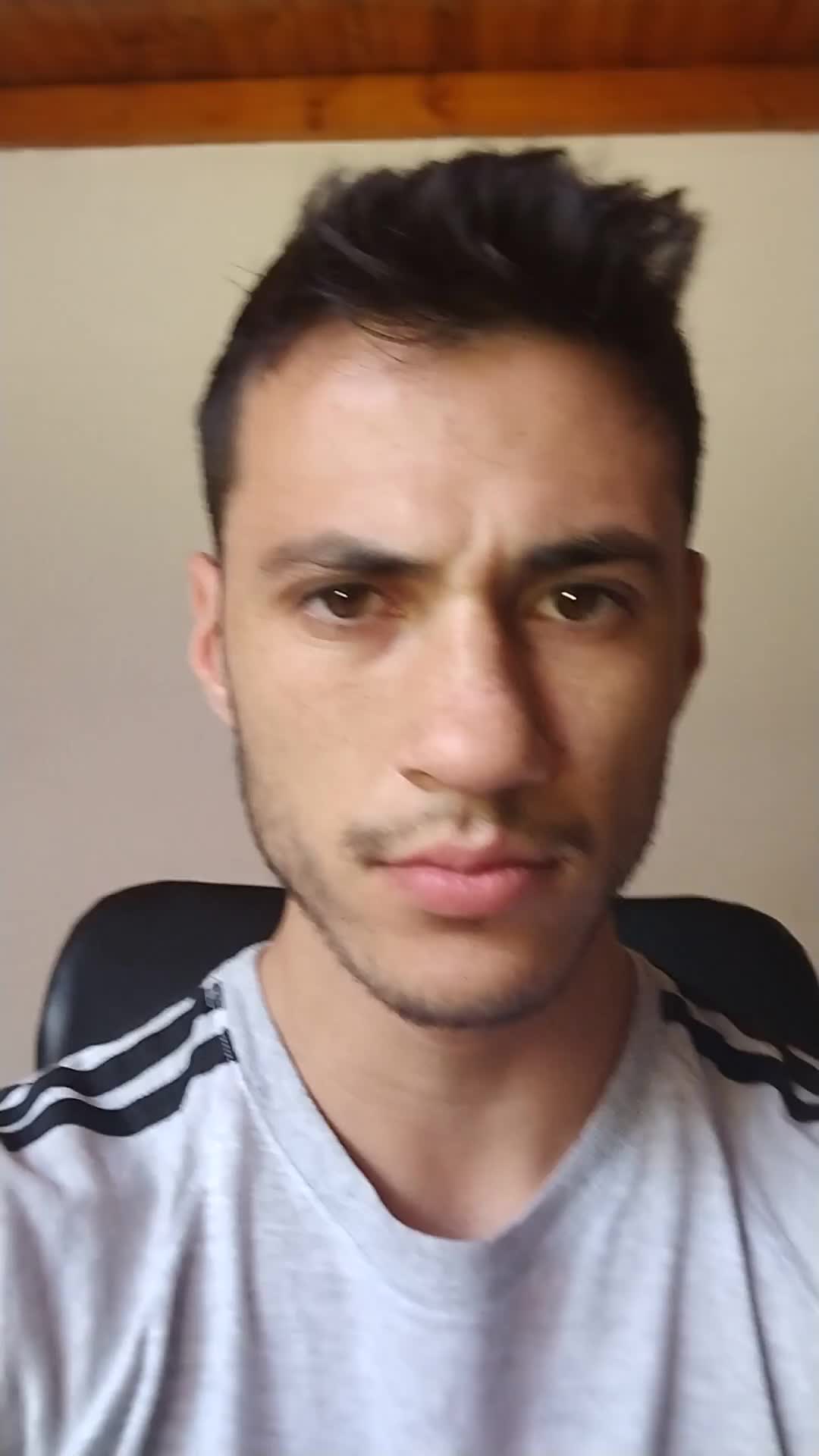 Contador Publico