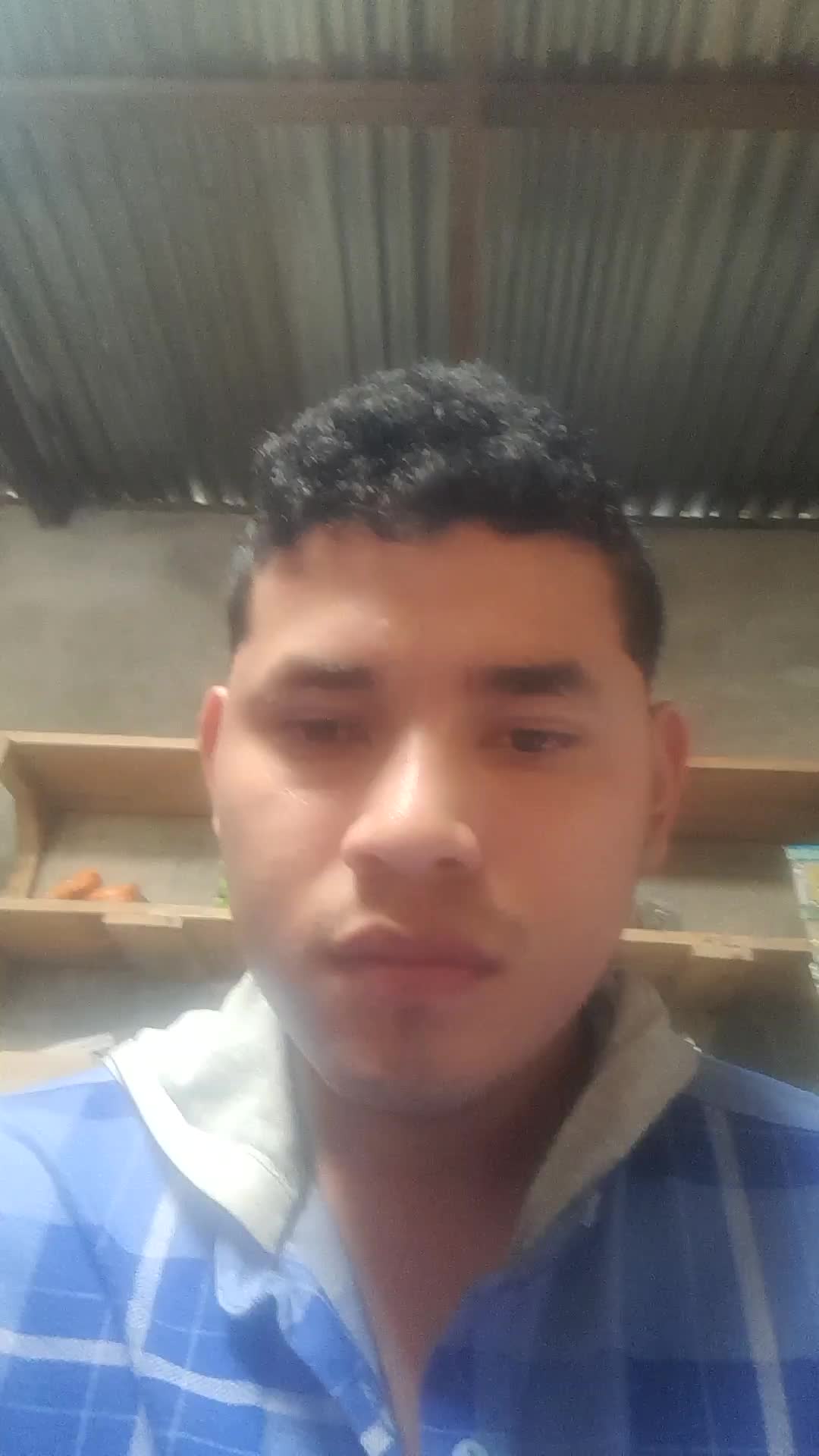 Asistente virtual 