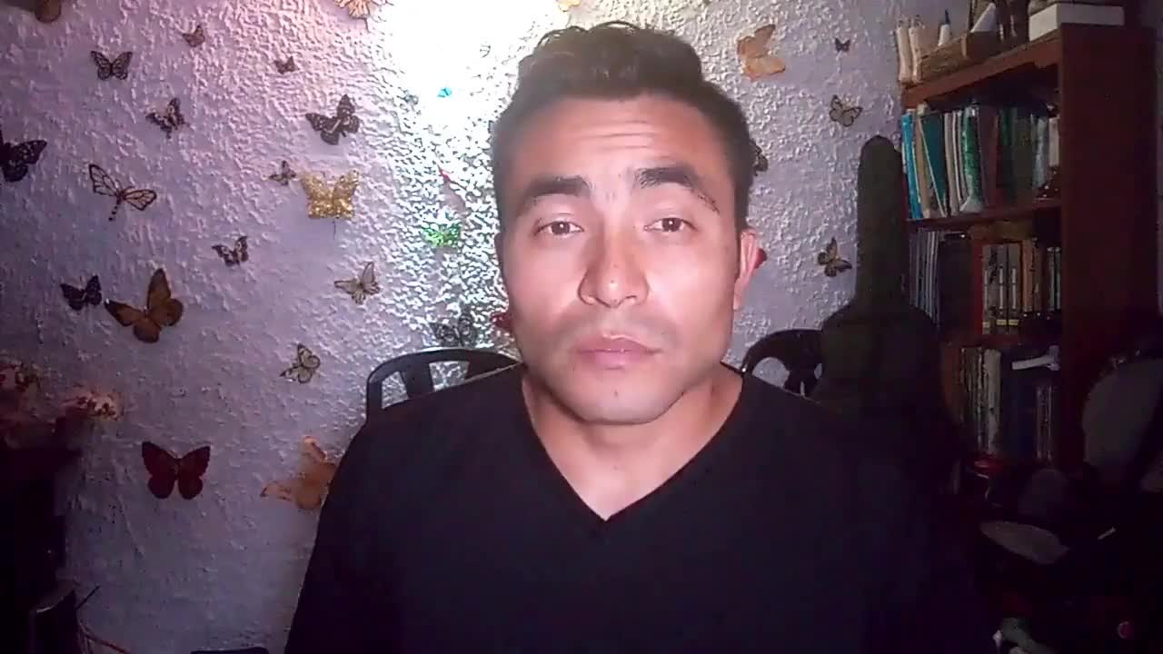 Desarrollador 