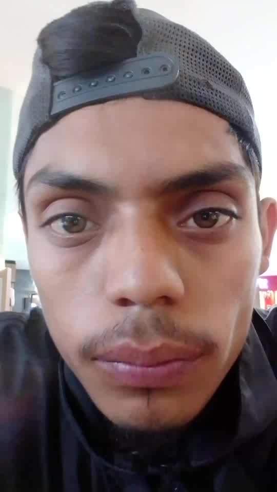 Repsrtidor