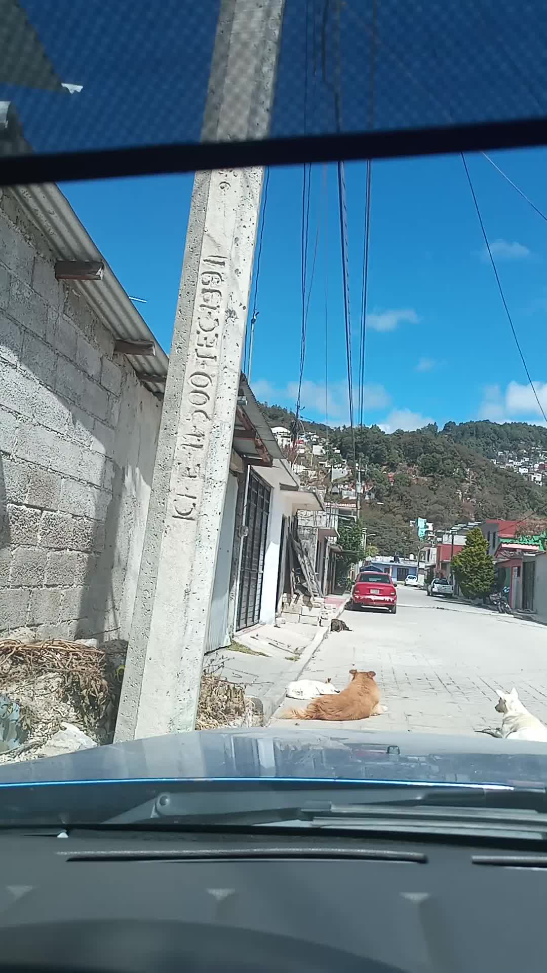 Asistente Administrativo