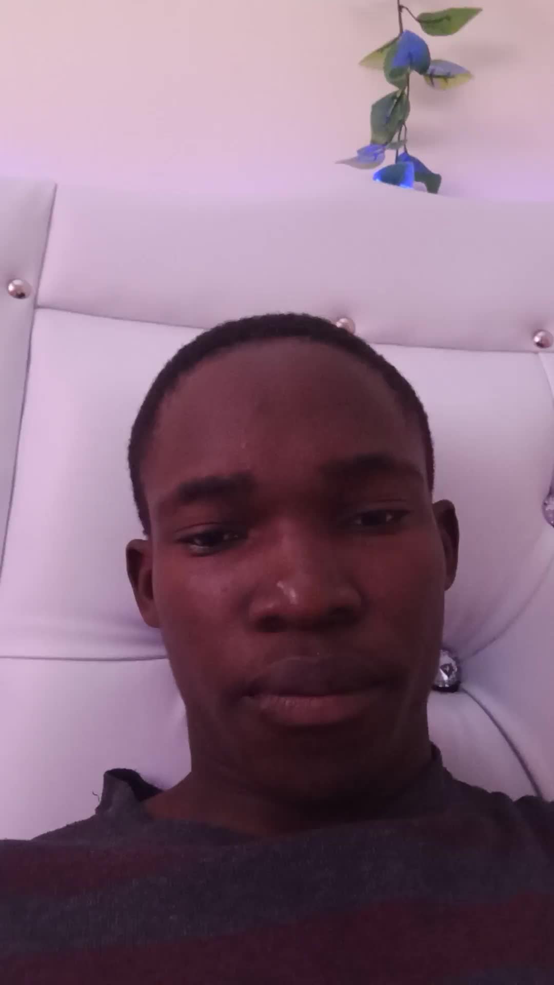 Buenas tardes Soy Vidaltengo varias experiencia aparte de esta