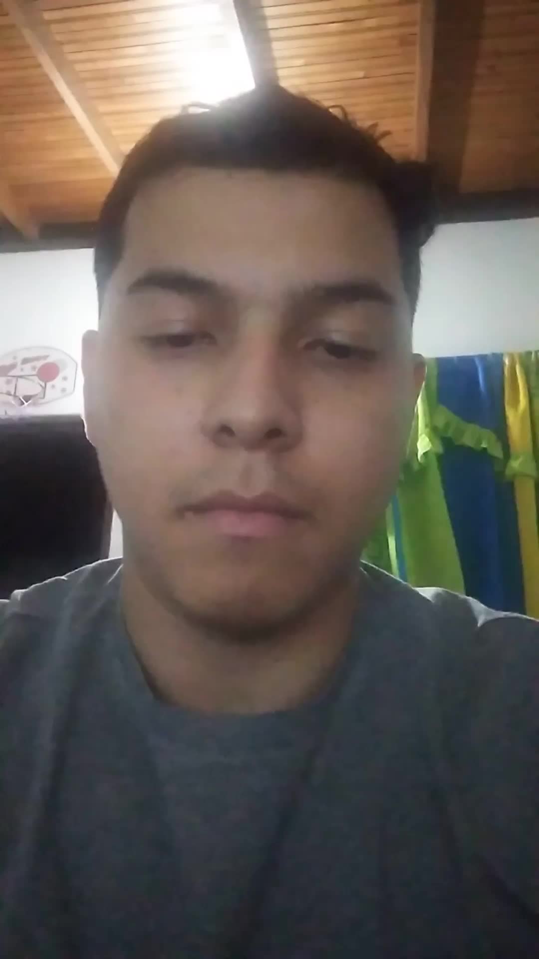 Desarrollador