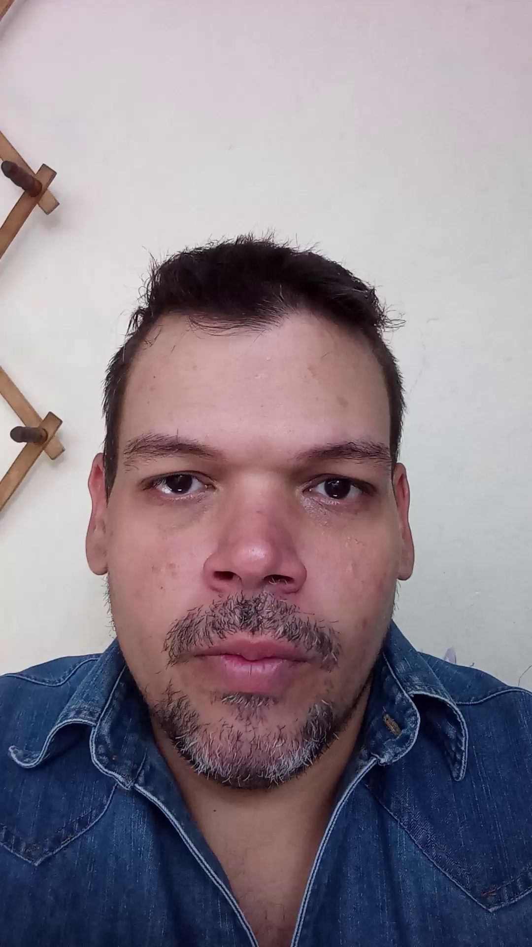 Desarrollador