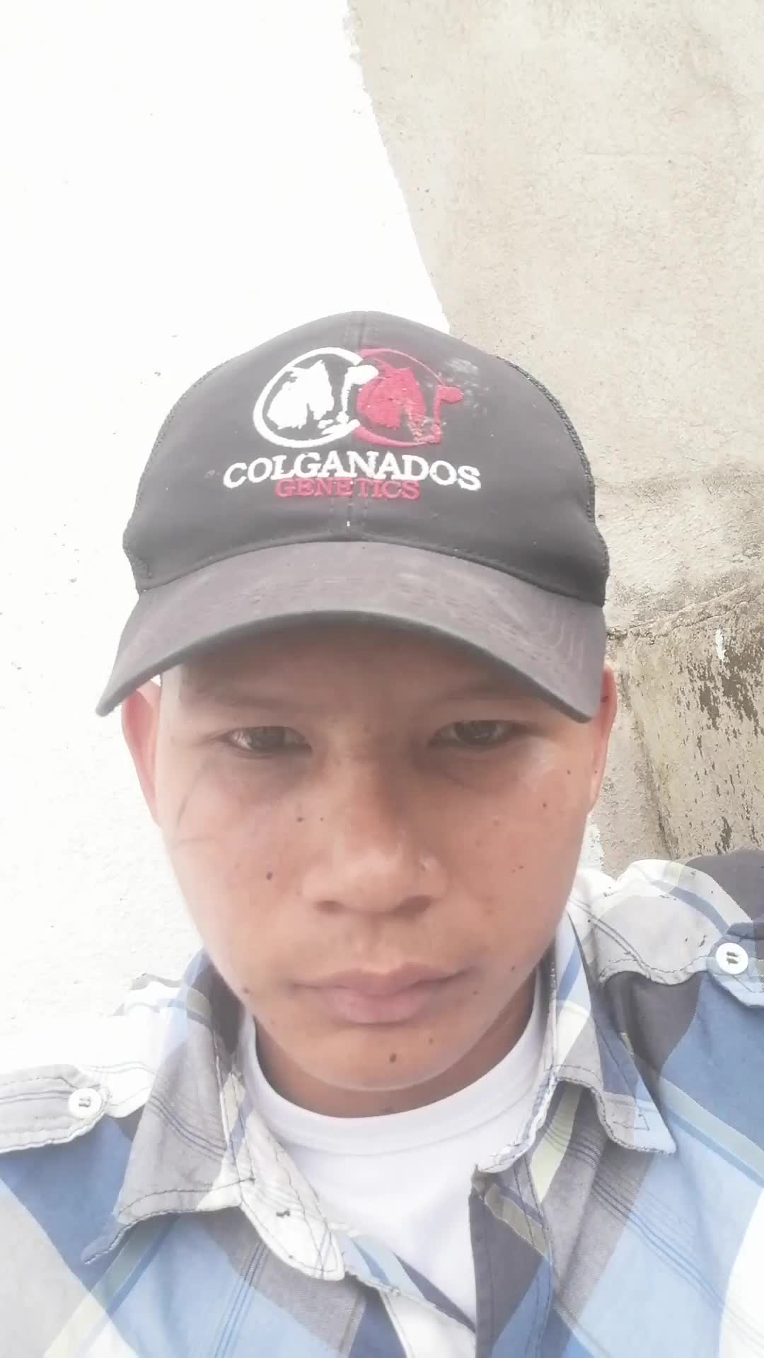 Auxiliar de bodega 