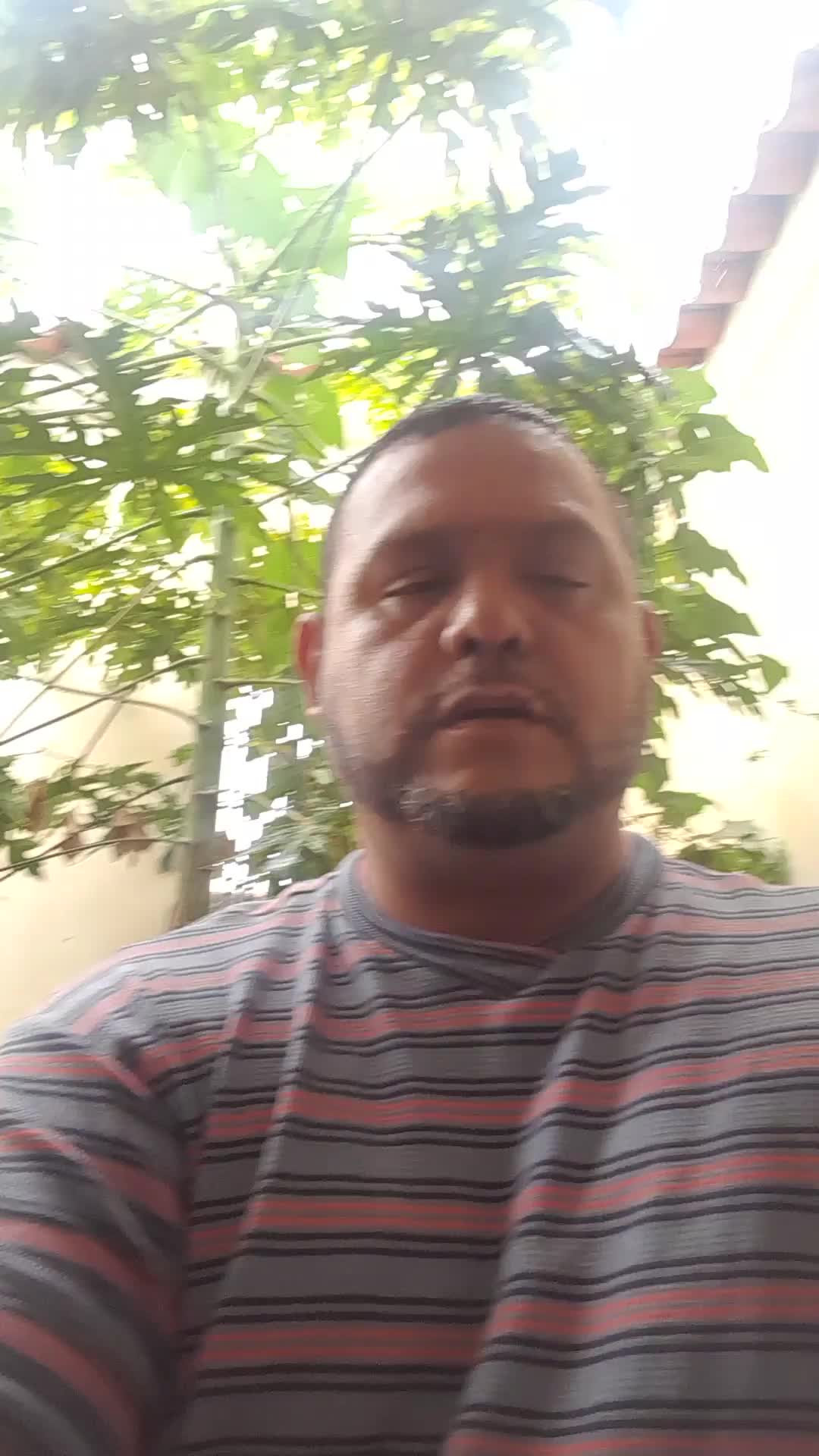Asistente virtual