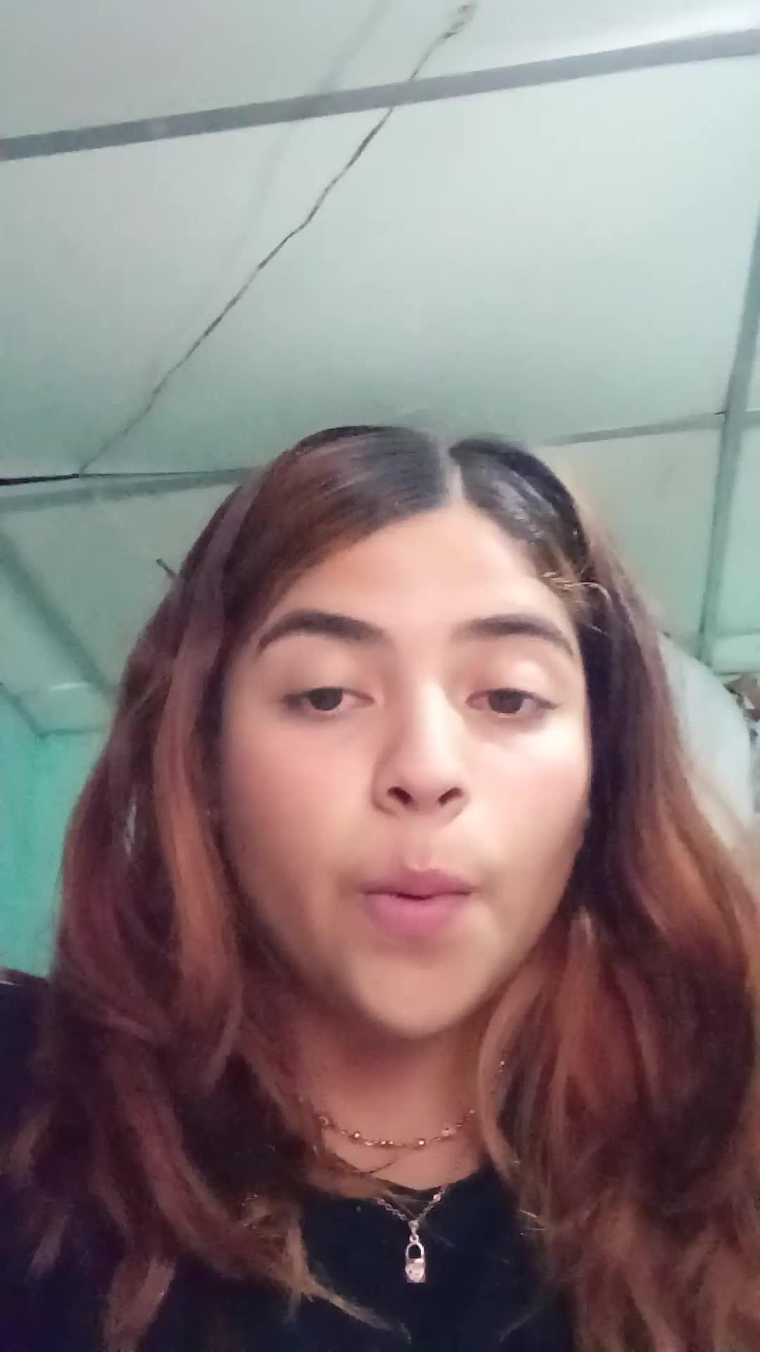 Currículum 