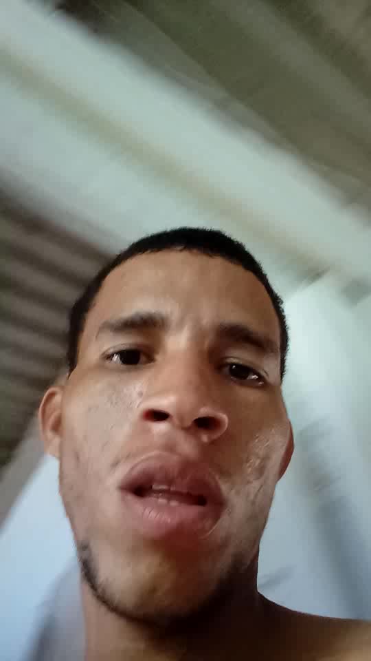 Vendedor