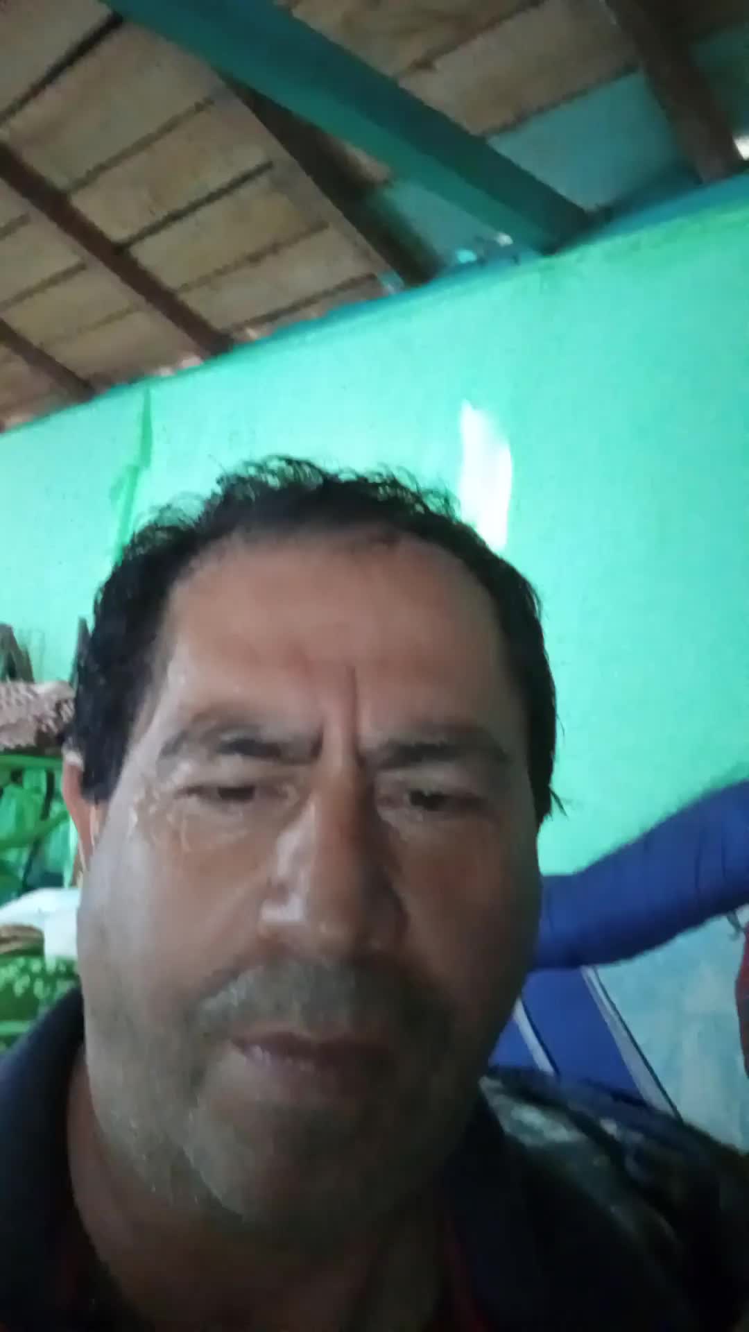 Vendedor 