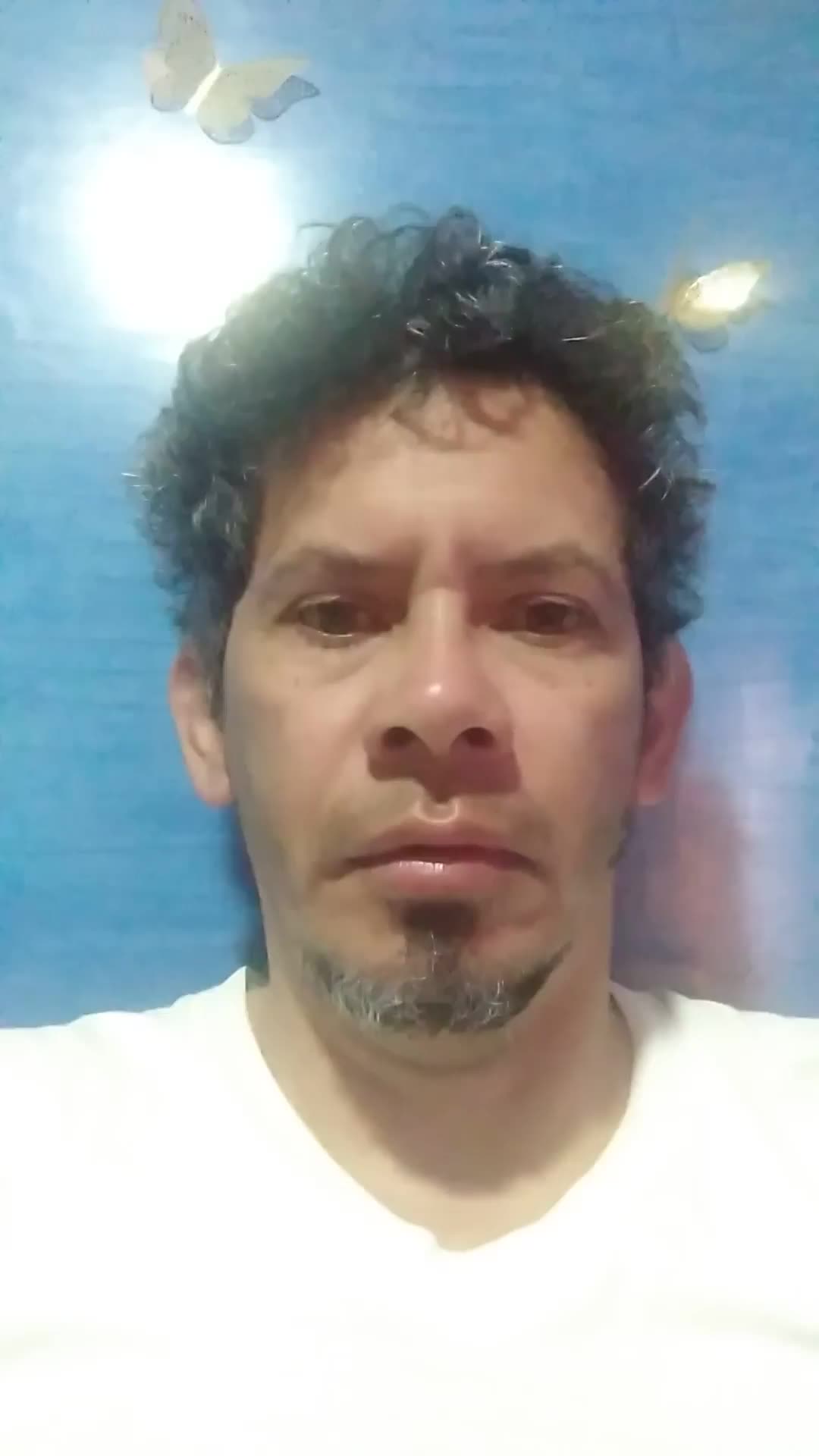 Asistencia virtual 