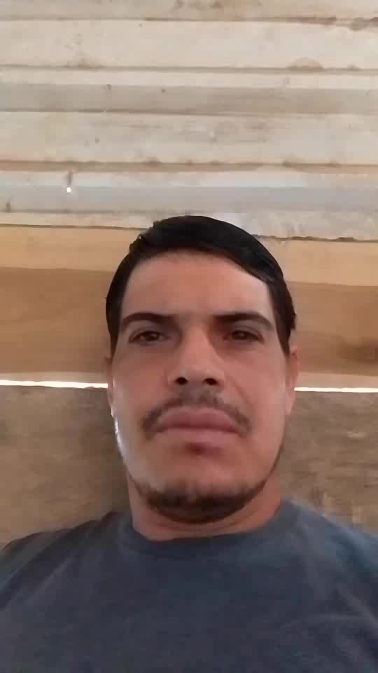Sevto año