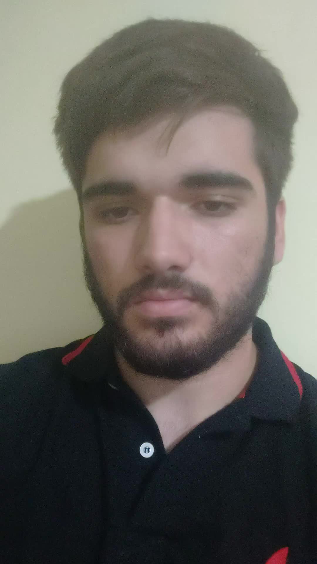 Desarrollador