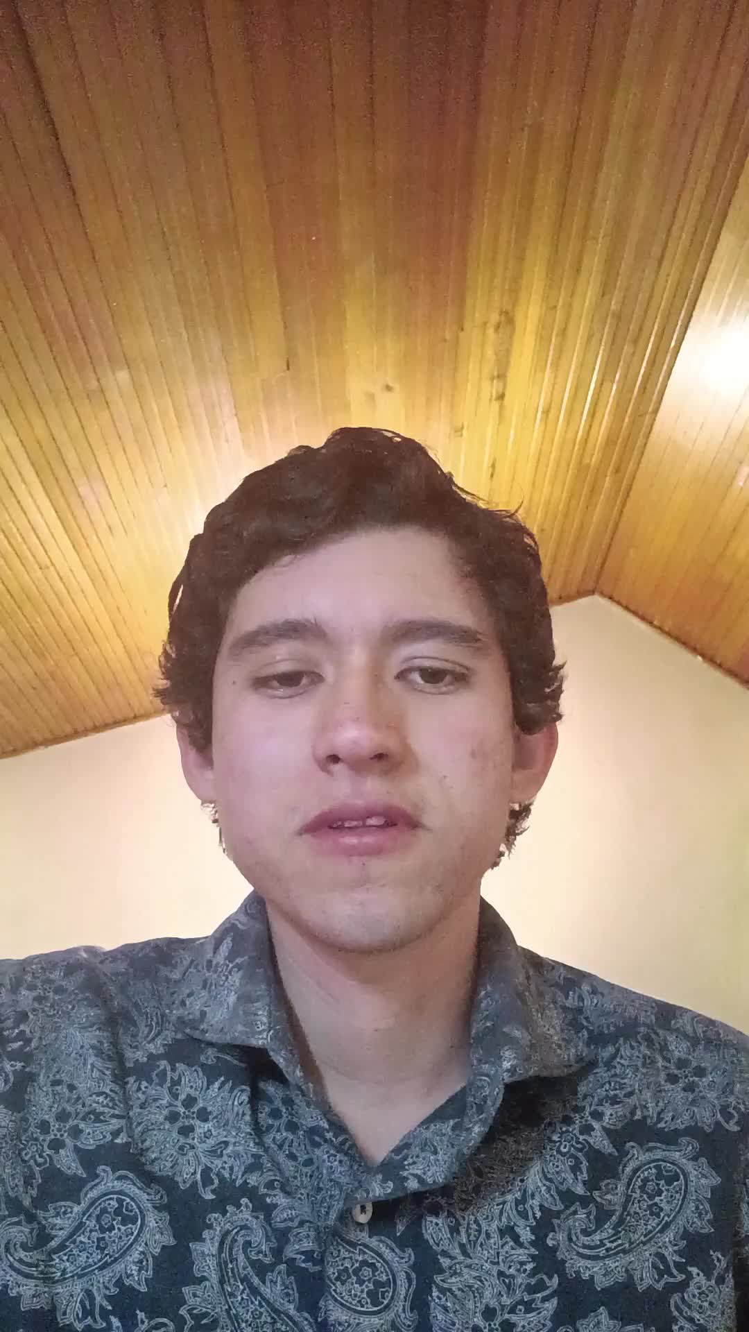 Jr. Python developer 