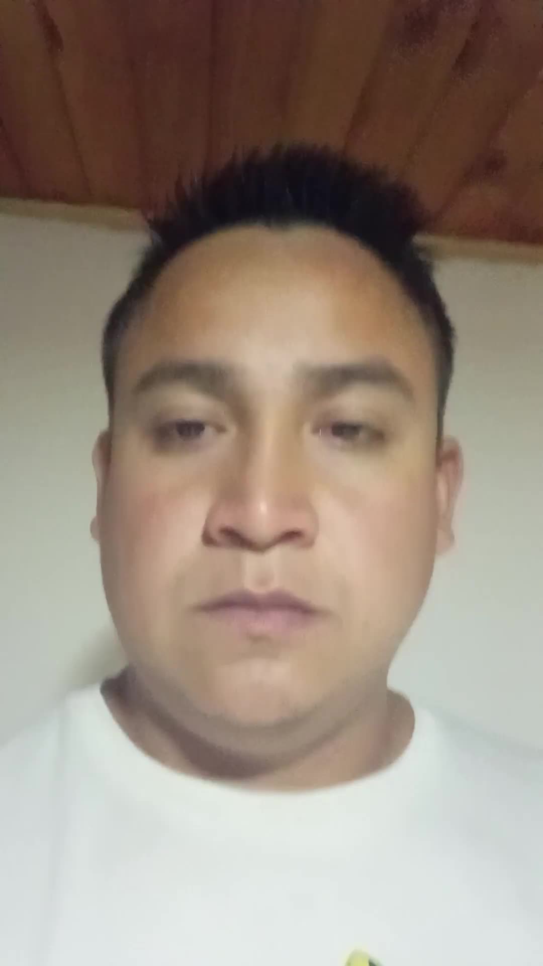 Desarrollador web