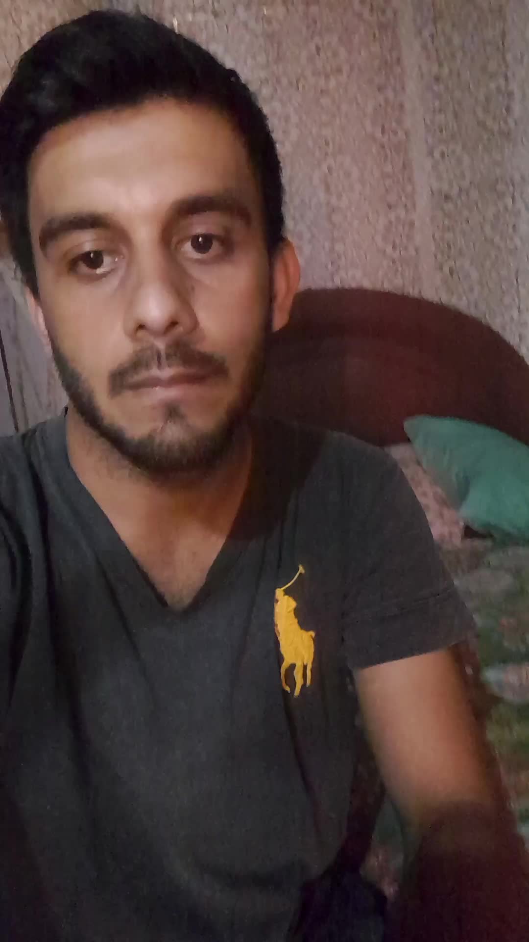 asistente virtual 