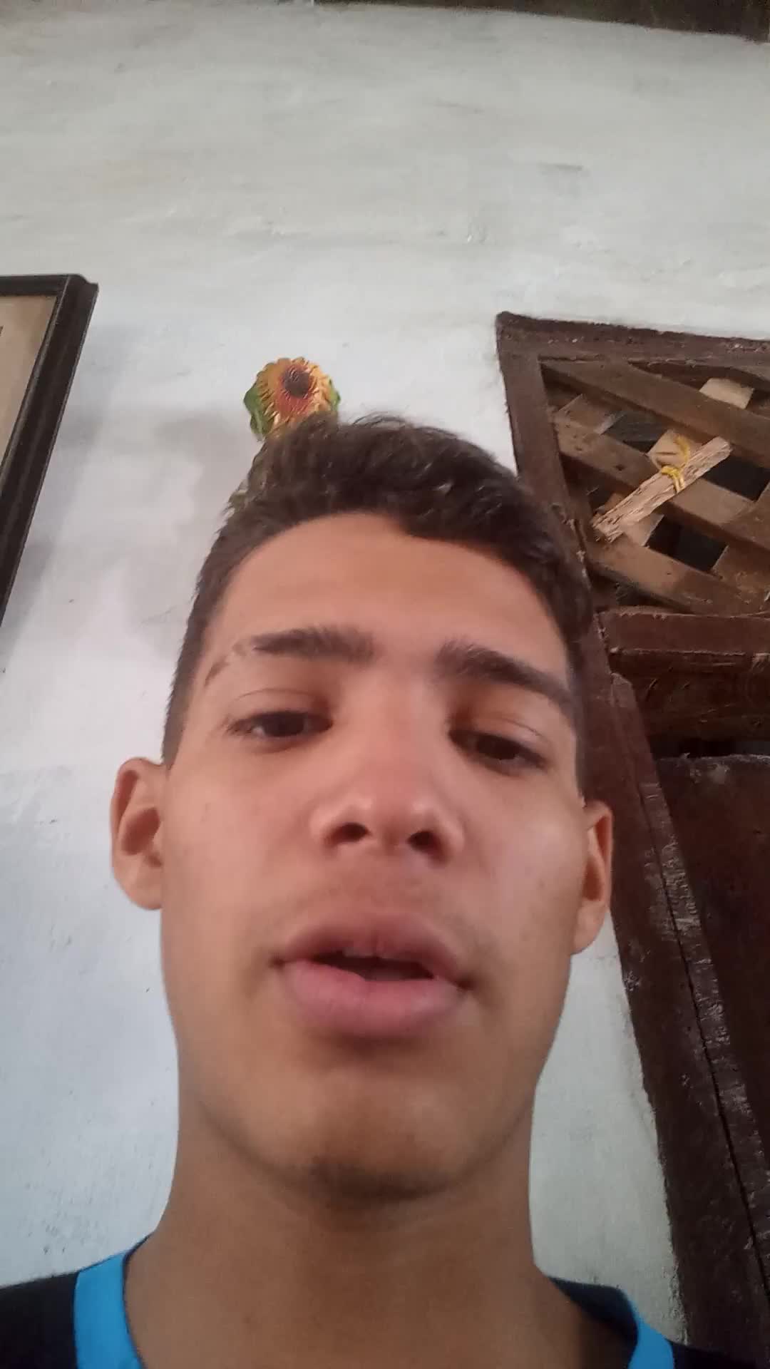 Oficios varios