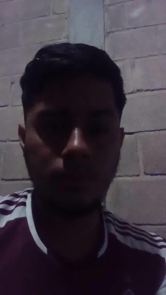 Tecnico profecional 