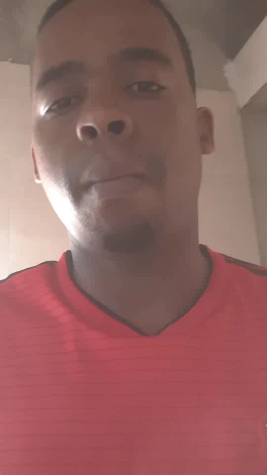 Repcecionista