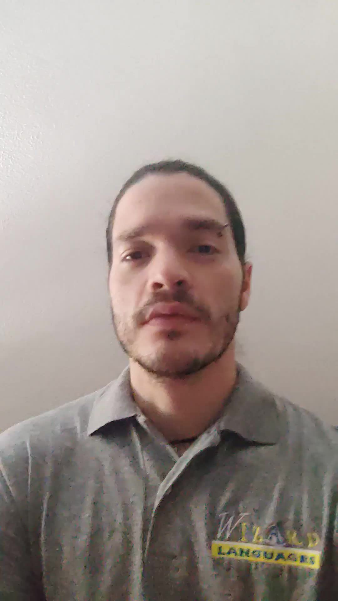 Remote interpreter