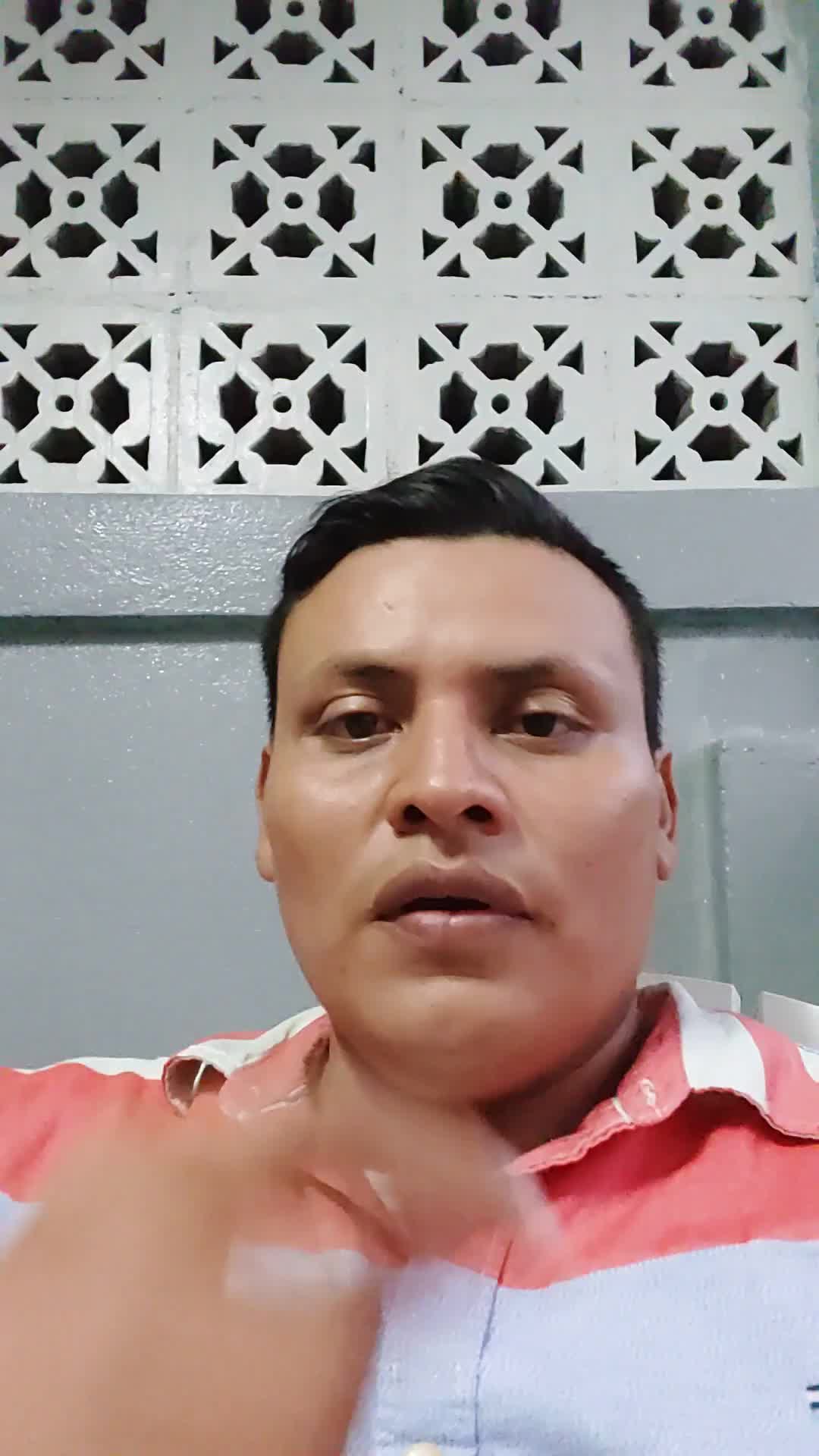 Digitador