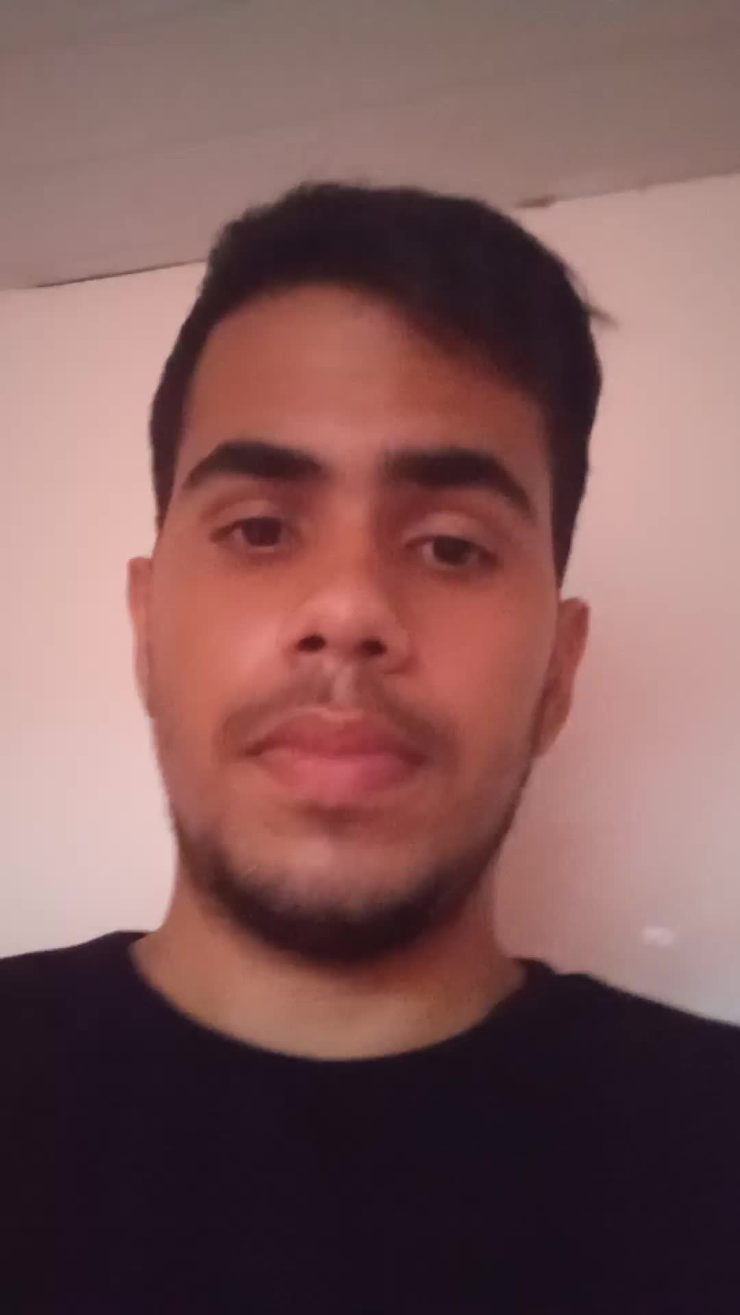 Archivista