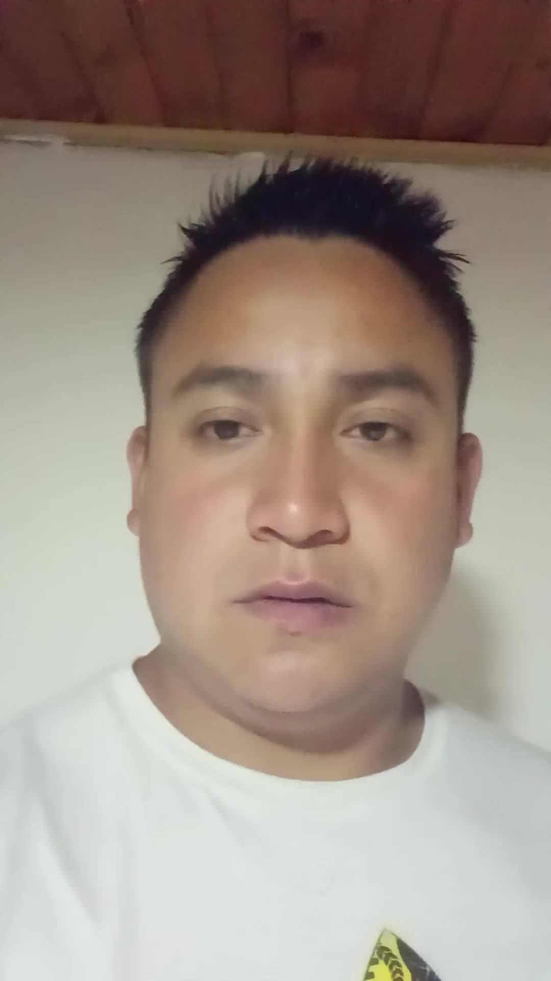 Desarrollador web 